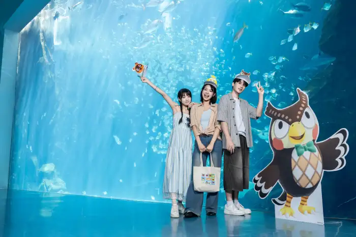 陸悠が寝転んであなたを待っています!あつまれ どうぶつの森 × Xpark 海洋生物インタラクティブ展!人気キャラクター、探検クエスト、オリジナルグッズがすべて一堂に会します。