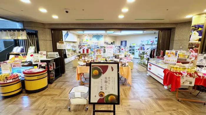 【和歌山の宿泊施設】「亀のいホテル紀伊田辺」は、息を呑むような海の景色と海を見下ろす鳥居が自慢で、熊野古道巡礼の出発点として最適です。