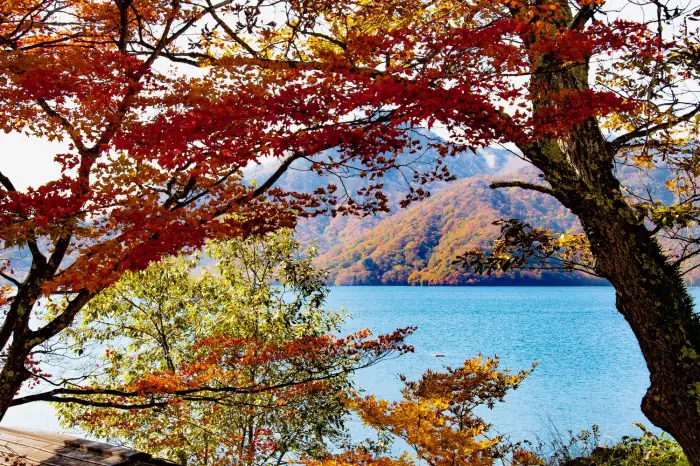 10月に日本で訪れるべきおすすめスポット10選 ― 美しい秋を一緒に満喫しましょう!