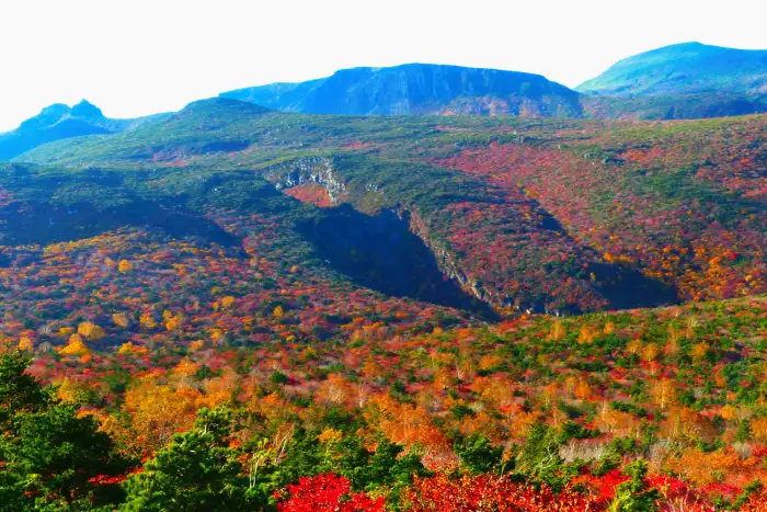 9月に日本で絶対に訪れたいスポットを10ヶ所ご紹介します。初秋の日本を一緒に旅しましょう！