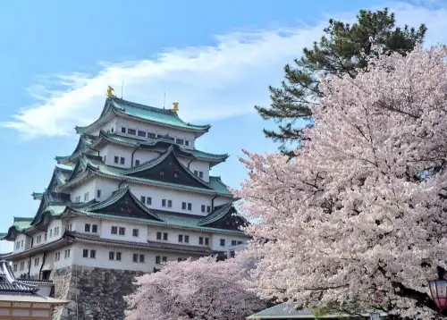 【名古屋の宿泊施設】名古屋プリンスホテルスカイタワーに登り、家族と一緒に水上ボートに乗って空からの夢のような景色をお楽しみください。
