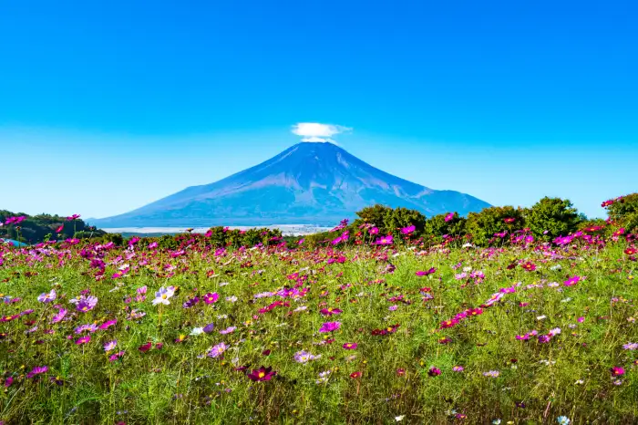 9月に日本で絶対に訪れたいスポットを10ヶ所ご紹介します。初秋の日本を一緒に旅しましょう！