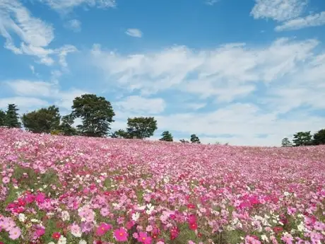 9月に日本で絶対に訪れたいスポットを10ヶ所ご紹介します。初秋の日本を一緒に旅しましょう！