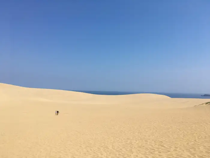 8月に訪れるべき日本のおすすめ観光スポット トップ10!日本の美しい夏の星空と絶景ビーチを体験しよう!