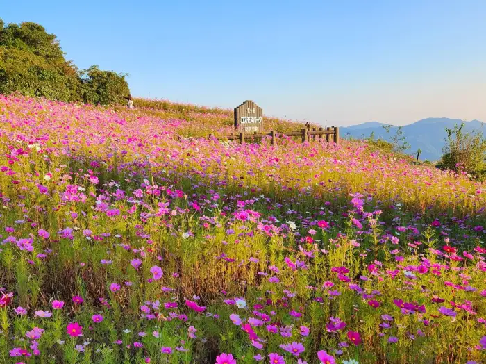 9月に日本で絶対に訪れたいスポットを10ヶ所ご紹介します。初秋の日本を一緒に旅しましょう！