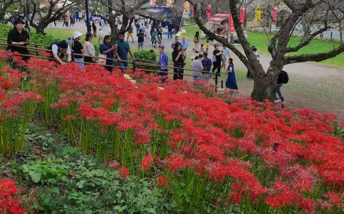 9月に日本で絶対に訪れたいスポットを10ヶ所ご紹介します。初秋の日本を一緒に旅しましょう！