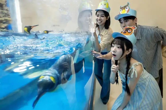 陸悠が寝転んであなたを待っています!あつまれ どうぶつの森 × Xpark 海洋生物インタラクティブ展!人気キャラクター、探検クエスト、オリジナルグッズがすべて一堂に会します。