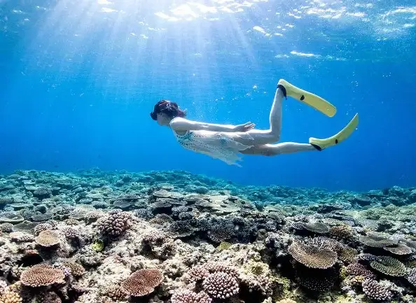 日本の喧騒から離れて、夏の休暇を過ごしたいですか？美しい海の景色が楽しめる、リラックスしてくつろげる、人里離れた島々を10ヶ所ご紹介します。