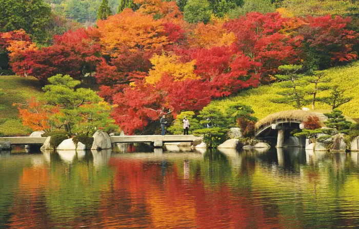 11月に訪れるべき日本の人気観光スポット トップ10：秋の終わりを過ごすのに必見のスポット。