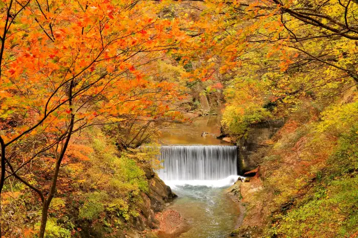 10月に日本で訪れるべきおすすめスポット10選 ― 美しい秋を一緒に満喫しましょう!