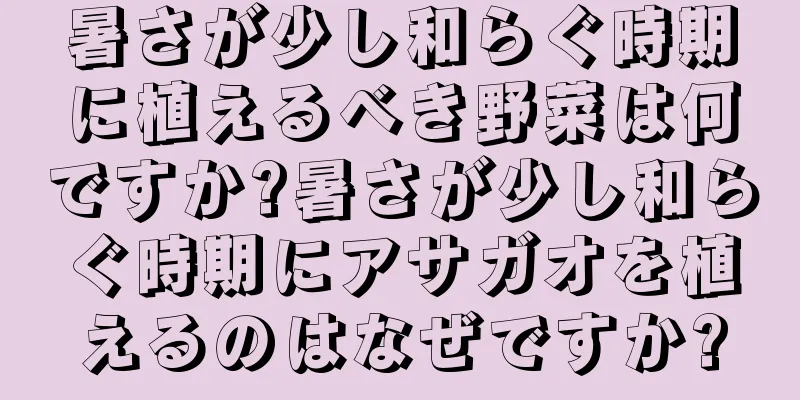暑さが少し和らぐ時期に植えるべき野菜は何ですか?暑さが少し和らぐ時期にアサガオを植えるのはなぜですか?