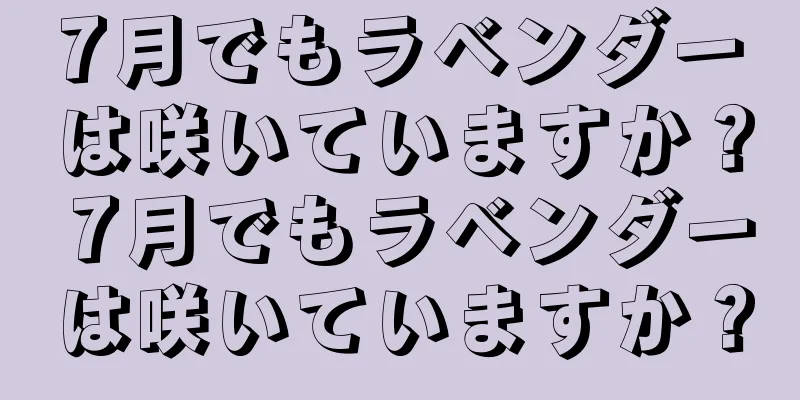 7月でもラベンダーは咲いていますか？ 7月でもラベンダーは咲いていますか？