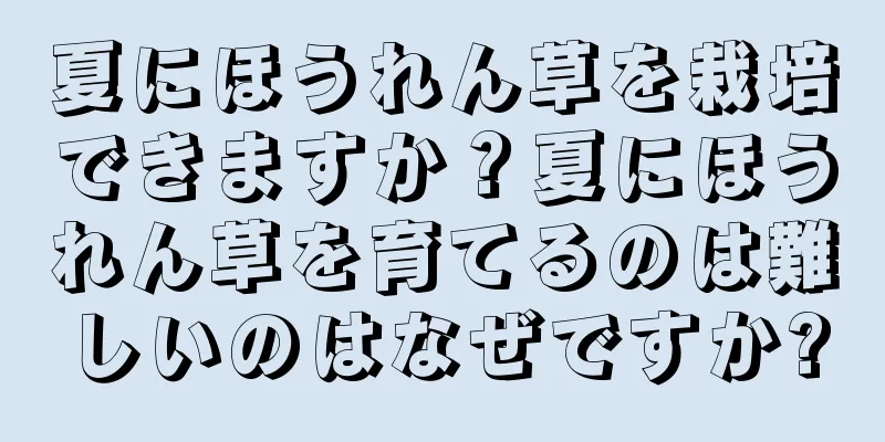 夏にほうれん草を栽培できますか？夏にほうれん草を育てるのは難しいのはなぜですか?