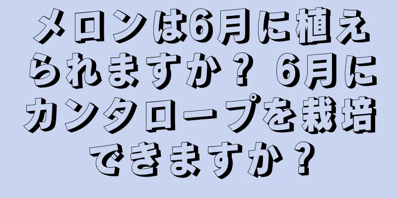 メロンは6月に植えられますか？ 6月にカンタロープを栽培できますか？