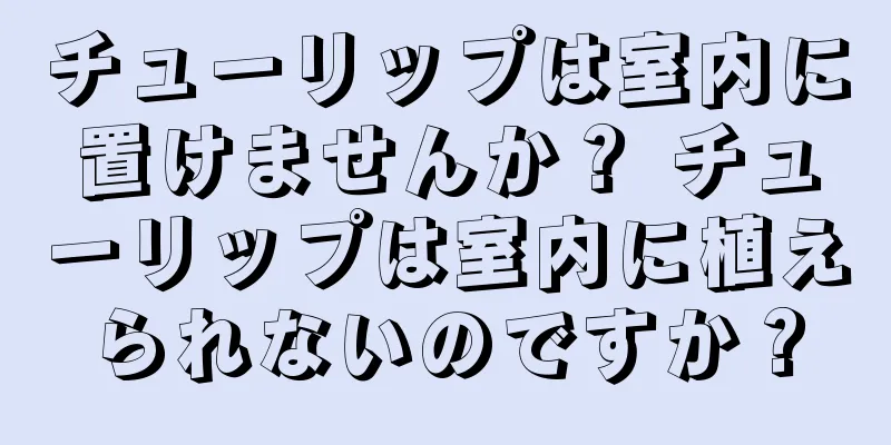 チューリップは室内に置けませんか？ チューリップは室内に植えられないのですか？