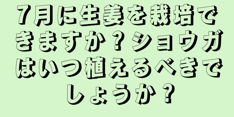 7月に生姜を栽培できますか？ショウガはいつ植えるべきでしょうか？