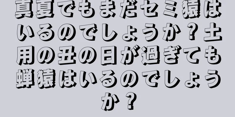 真夏でもまだセミ猿はいるのでしょうか？土用の丑の日が過ぎても蝉猿はいるのでしょうか？