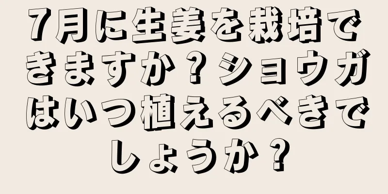 7月に生姜を栽培できますか？ショウガはいつ植えるべきでしょうか？