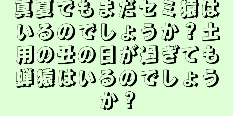 真夏でもまだセミ猿はいるのでしょうか？土用の丑の日が過ぎても蝉猿はいるのでしょうか？