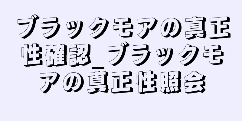 ブラックモアの真正性確認_ブラックモアの真正性照会