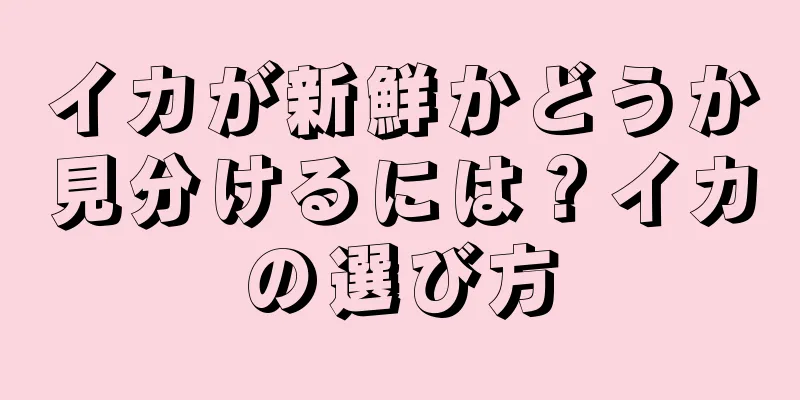 イカが新鮮かどうか見分けるには？イカの選び方