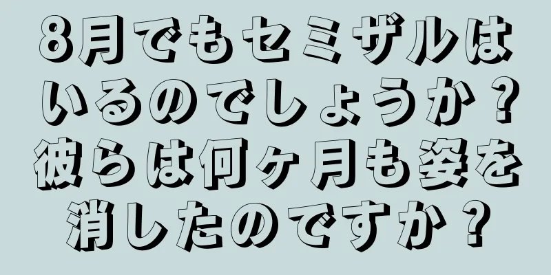 8月でもセミザルはいるのでしょうか？彼らは何ヶ月も姿を消したのですか？
