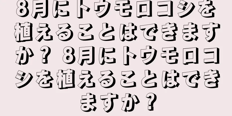 8月にトウモロコシを植えることはできますか？ 8月にトウモロコシを植えることはできますか？