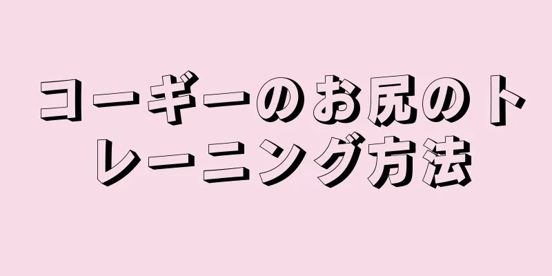 コーギーのお尻のトレーニング方法