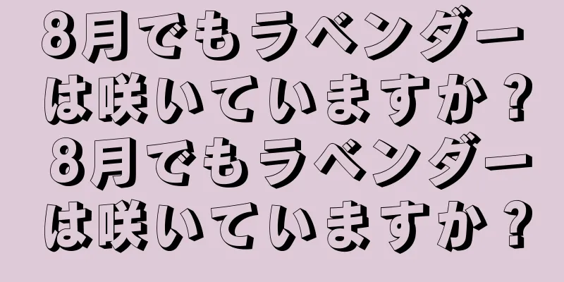 8月でもラベンダーは咲いていますか？ 8月でもラベンダーは咲いていますか？