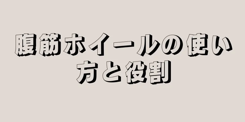 腹筋ホイールの使い方と役割