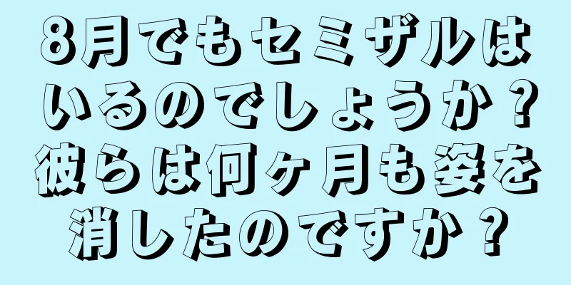 8月でもセミザルはいるのでしょうか？彼らは何ヶ月も姿を消したのですか？