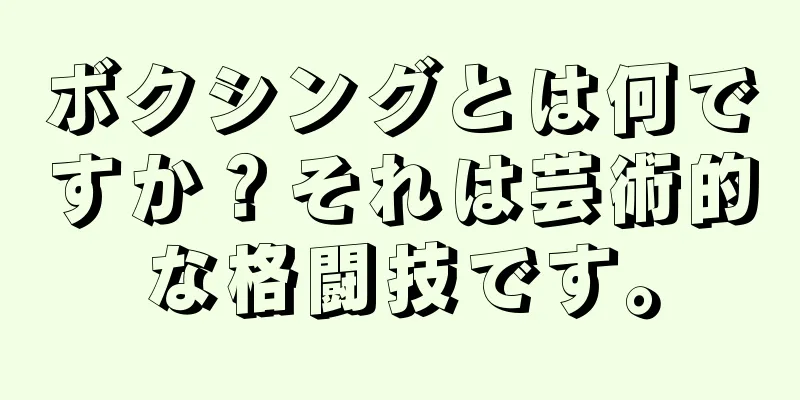ボクシングとは何ですか？それは芸術的な格闘技です。