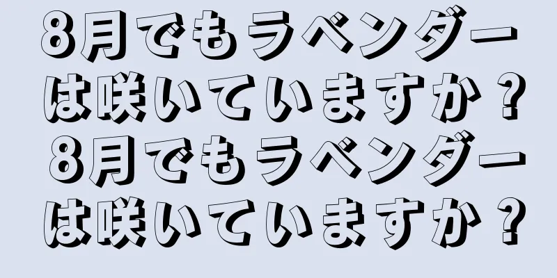 8月でもラベンダーは咲いていますか？ 8月でもラベンダーは咲いていますか？