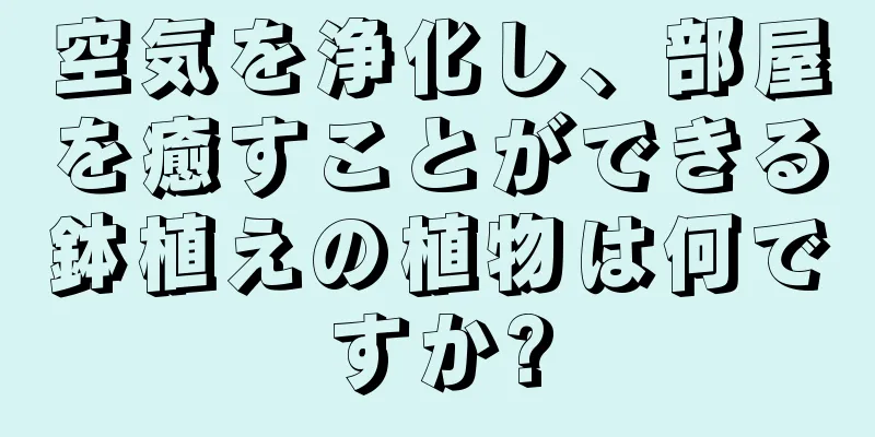 空気を浄化し、部屋を癒すことができる鉢植えの植物は何ですか?