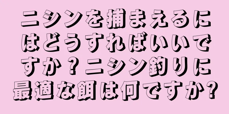 ニシンを捕まえるにはどうすればいいですか？ニシン釣りに最適な餌は何ですか?