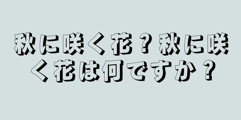 秋に咲く花？秋に咲く花は何ですか？