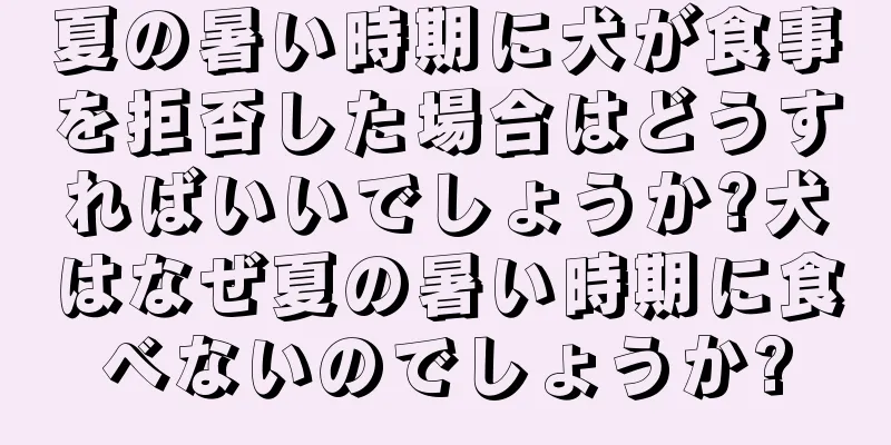 夏の暑い時期に犬が食事を拒否した場合はどうすればいいでしょうか?犬はなぜ夏の暑い時期に食べないのでしょうか?