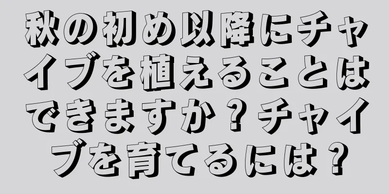 秋の初め以降にチャイブを植えることはできますか？チャイブを育てるには？