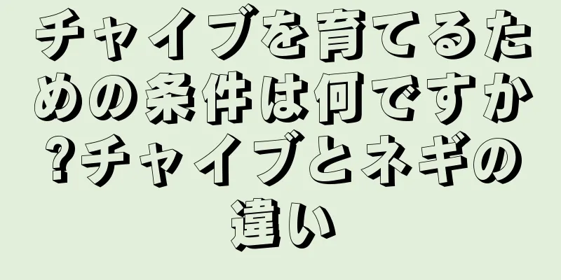 チャイブを育てるための条件は何ですか?チャイブとネギの違い