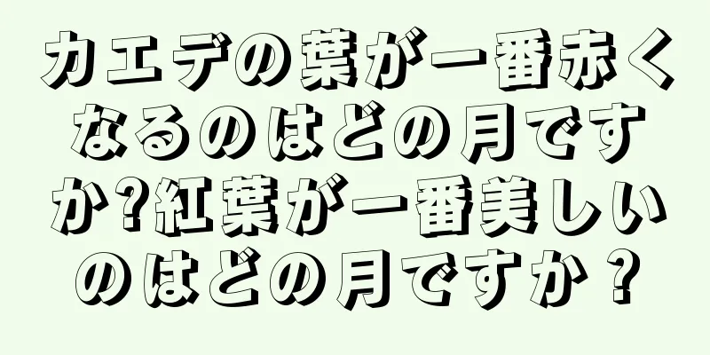 カエデの葉が一番赤くなるのはどの月ですか?紅葉が一番美しいのはどの月ですか？