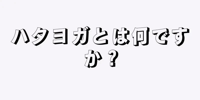 ハタヨガとは何ですか？