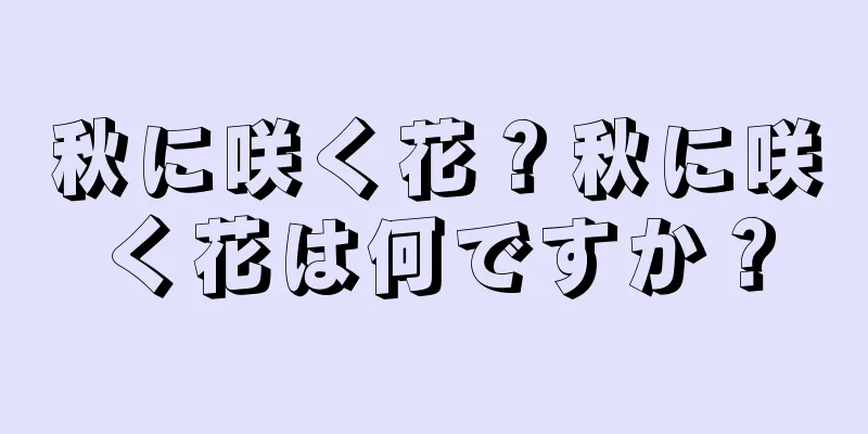 秋に咲く花？秋に咲く花は何ですか？
