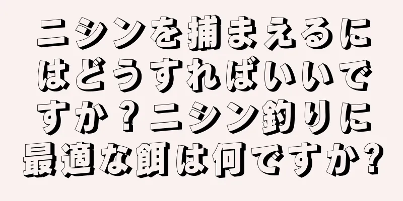 ニシンを捕まえるにはどうすればいいですか？ニシン釣りに最適な餌は何ですか?