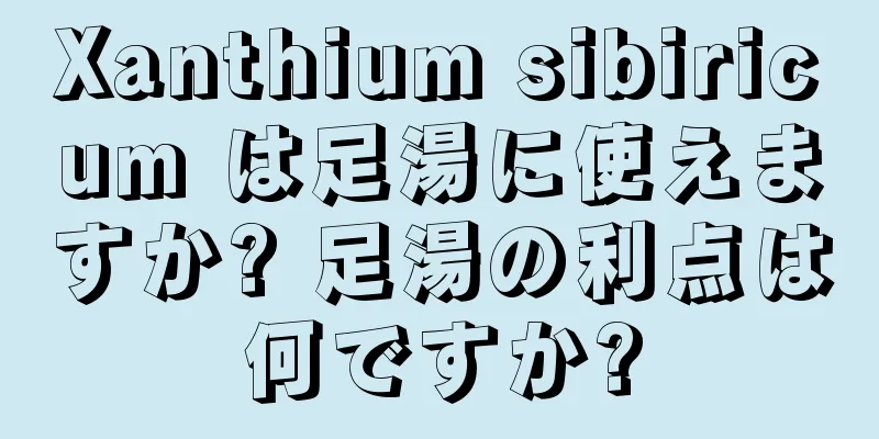 Xanthium sibiricum は足湯に使えますか? 足湯の利点は何ですか?