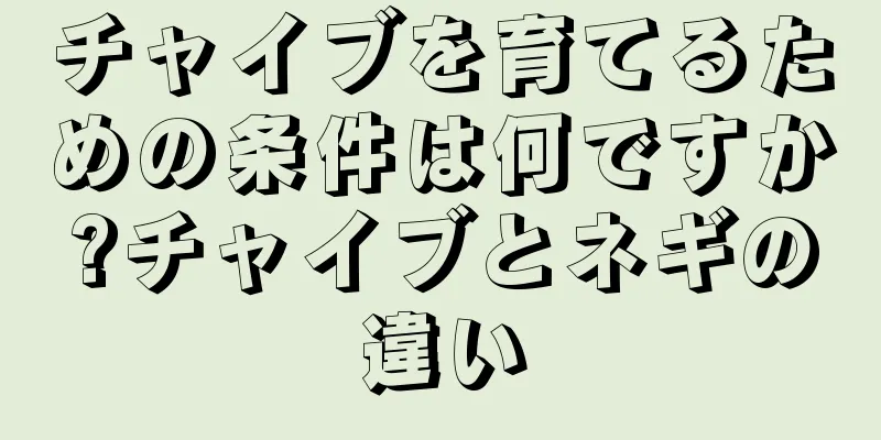 チャイブを育てるための条件は何ですか?チャイブとネギの違い