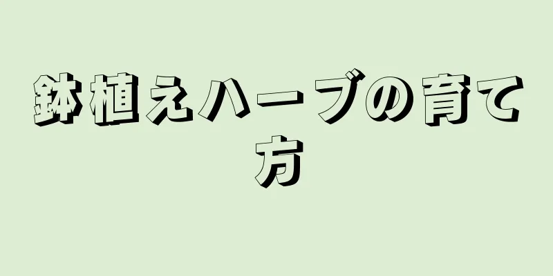 鉢植えハーブの育て方