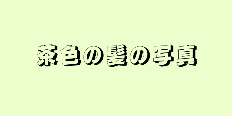 茶色の髪の写真
