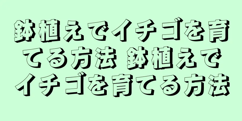 鉢植えでイチゴを育てる方法 鉢植えでイチゴを育てる方法