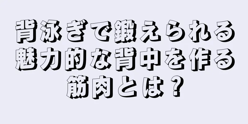 背泳ぎで鍛えられる魅力的な背中を作る筋肉とは？