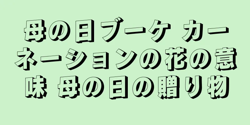 母の日ブーケ カーネーションの花の意味 母の日の贈り物
